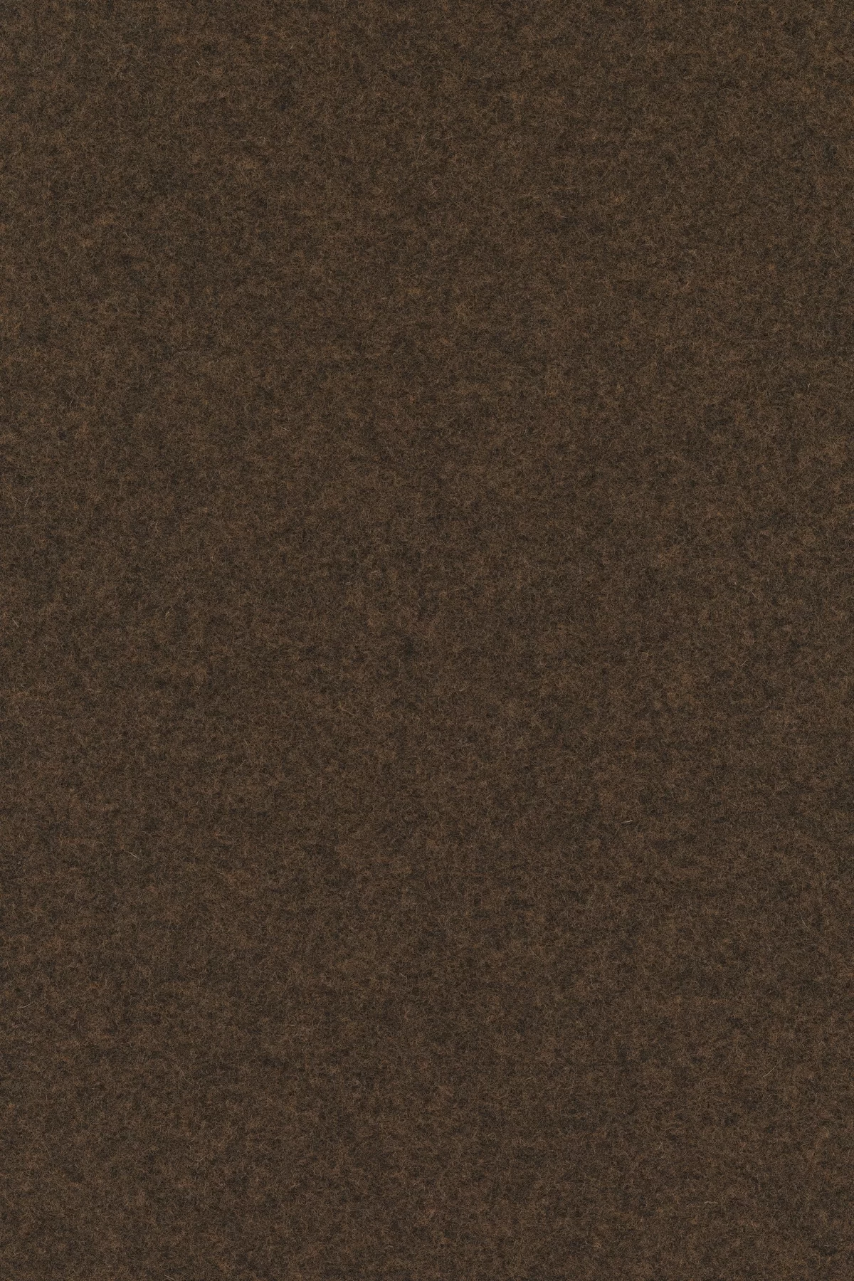 Divina melange 3, 367